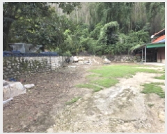  2025Ÿ2603  ֱ ݼ и 1463-1      ð