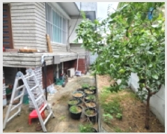  2025Ÿ��2719 �뱸 ���� ���絿 980-50       ���ð��