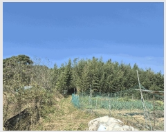  2025Ÿ��3019  �Ӿ߰��