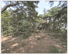  2025Ÿ��3019  �Ӿ߰��