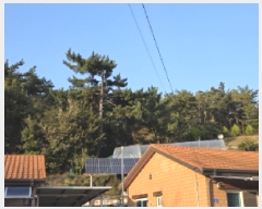  2025Ÿ��3019  �Ӿ߰��