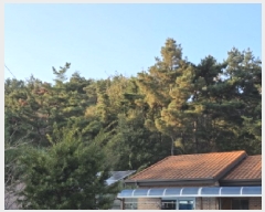  2025Ÿ��3019  �Ӿ߰��