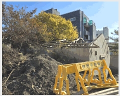  2025Ÿ��3590  �������