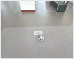  2025Ÿ��3736  �ٸ��󰡰��