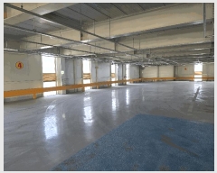  2025Ÿ��3781  �ٸ��󰡰��