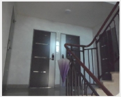  2025Ÿ30097 뱸 ޼ 53 40       ٰð