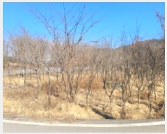  2025Ÿ��30904 ��� ���ֱ� �밡�� ĥ���� 1052      ����(��)���