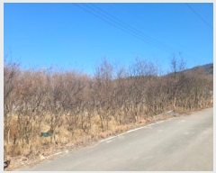  2025Ÿ��30904 ��� ���ֱ� �밡�� ĥ���� 1052      ����(��)���