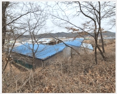  2025Ÿ��30976 ��� ���ɱ� ������ ������ 785-2      ������