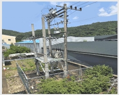  2025Ÿ��31048 ��� ���ɱ� �ָ��� ��� 199-18      ������