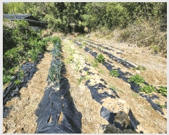  2025Ÿ31149 뱸 ޼  Ǹ 841      ()