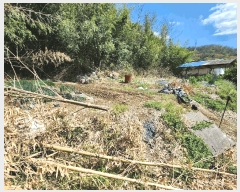  2025Ÿ31149 뱸 ޼  Ǹ 841      ()