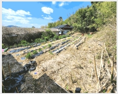  2025Ÿ31149 뱸 ޼  Ǹ 841      ()