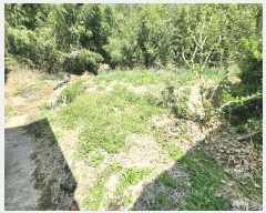  2025Ÿ31149 뱸 ޼  Ǹ 841      ()