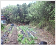  2025Ÿ31149 뱸 ޼  Ǹ 841      ()