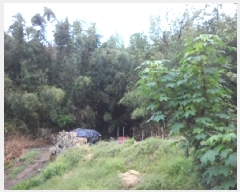  2025Ÿ31149 뱸 ޼  Ǹ 841      ()