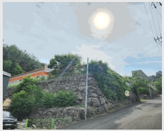  2025Ÿ31221  ɱ ٻ  1286-8      