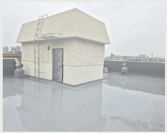  2025Ÿ��31251  �ٰ������ð��