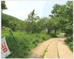  2025Ÿ��31300  �����