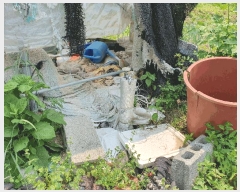  2025Ÿ��31300  �����