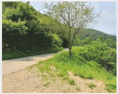  2025Ÿ��31300  �����