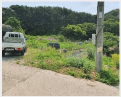  2025Ÿ��31300  �����