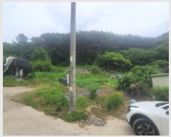  2025Ÿ��31300  �����