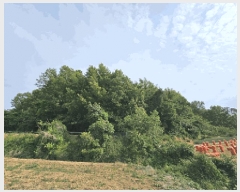  2025Ÿ��31312 �뱸 �޼��� ��ǳ�� �ű⸮ 328      ����(�Ӿ�)���