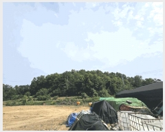  2025Ÿ��31312 �뱸 �޼��� ��ǳ�� �ű⸮ 328      ����(�Ӿ�)���