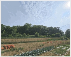  2025Ÿ��31312 �뱸 �޼��� ��ǳ�� �ű⸮ 328      ����(�Ӿ�)���