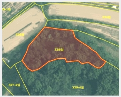  2025Ÿ��31312 �뱸 �޼��� ��ǳ�� �ű⸮ 328      ����(�Ӿ�)���