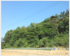  2025Ÿ��31312 �뱸 �޼��� ��ǳ�� �ű⸮ 328      ����(�Ӿ�)���