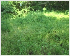  2025Ÿ��31312 �뱸 �޼��� ��ǳ�� �ű⸮ 328      ����(�Ӿ�)���