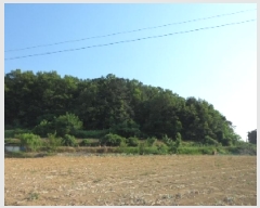  2025Ÿ��31312 �뱸 �޼��� ��ǳ�� �ű⸮ 328      ����(�Ӿ�)���