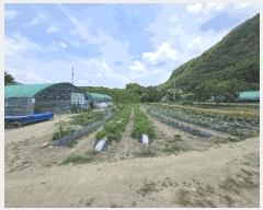  2025Ÿ31360 뱸 ޼ â и 223-3      ()