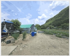  2025Ÿ31360 뱸 ޼ â и 223-3      ()