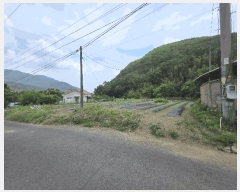  2025Ÿ31360 뱸 ޼ â и 223-3      ()