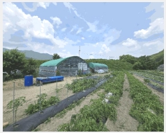  2025Ÿ31360 뱸 ޼ â и 223-3      ()