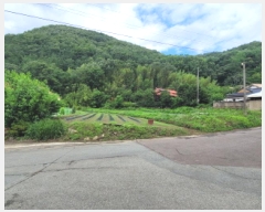  2025Ÿ31360 뱸 ޼ â и 223-3      ()