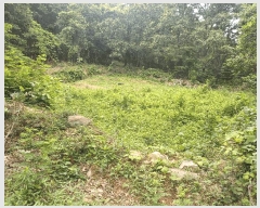  2025Ÿ31432  ɱ ָ 븮 671      (1)