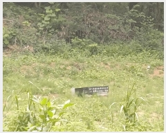  2025Ÿ31432  ɱ ָ 븮 671      (1)