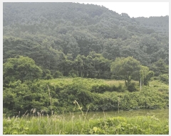  2025Ÿ31432  ɱ ָ 븮 671      (1)