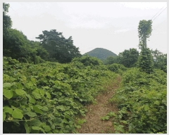  2025Ÿ31432  ɱ ָ 븮 671      (1)