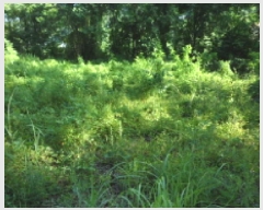  2025Ÿ31432  ɱ ָ 븮 671      (1)