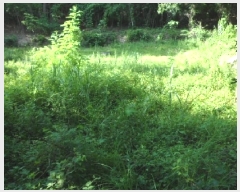  2025Ÿ31432  ɱ ָ 븮 671      (1)