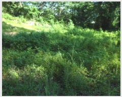  2025Ÿ31432  ɱ ָ 븮 671      (1)