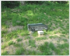  2025Ÿ31432  ɱ ָ 븮 671      (1)