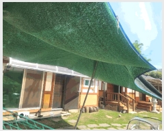  2025Ÿ31468 뱸 ޼   511      ()