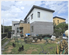  2025Ÿ31516  ֱ  ȭ 681-21      ð