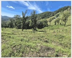  2025Ÿ31522  ɱ ָ հ 1048      (Ӿ)